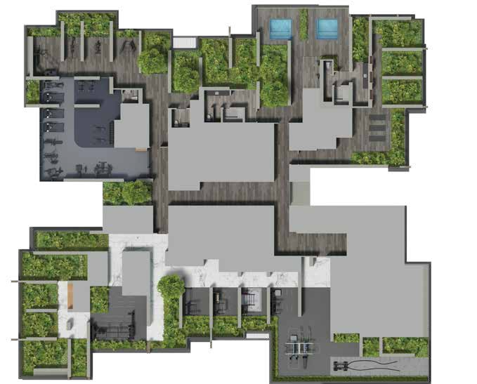 Wellness Peak, level 43 plan
